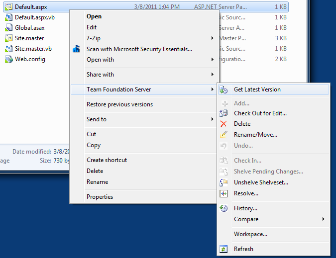 Getting Windows Shell Extensions to work with 's Hosted Team  Foundation Server 2010 